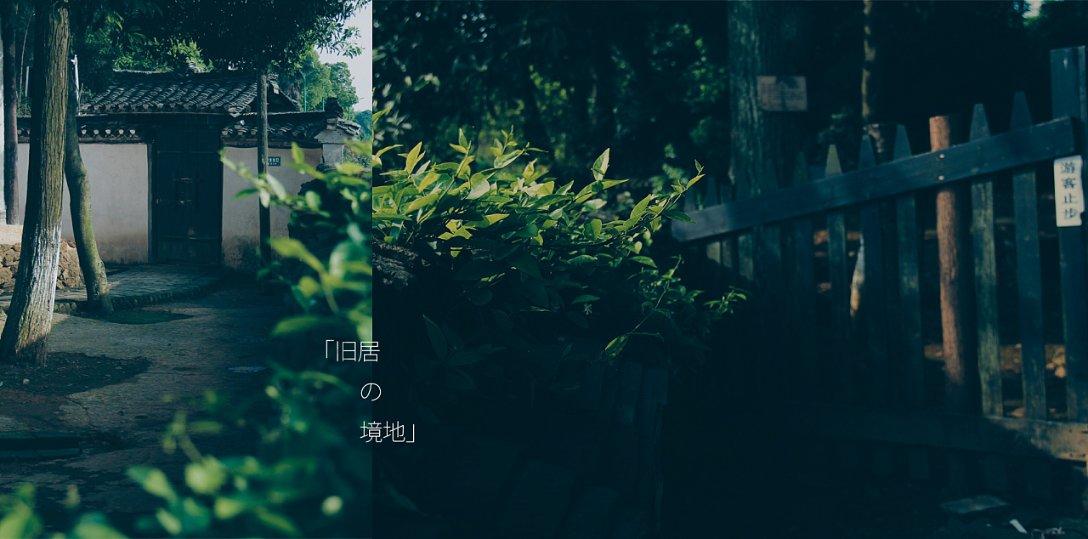 逗小猴开心系列213