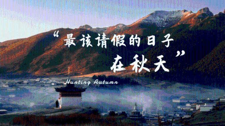 宇宙蜜蜂
