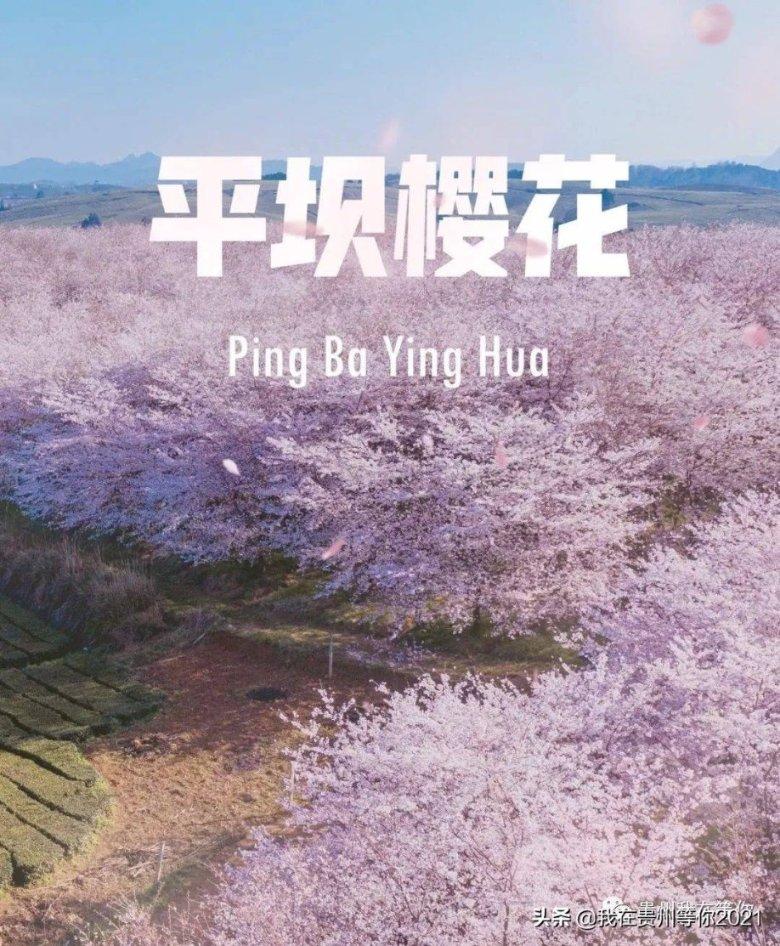 虫虫助手下载