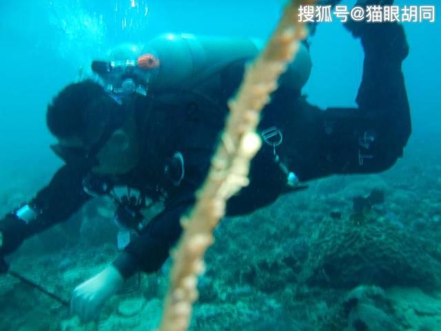 超级马里奥奥德赛
