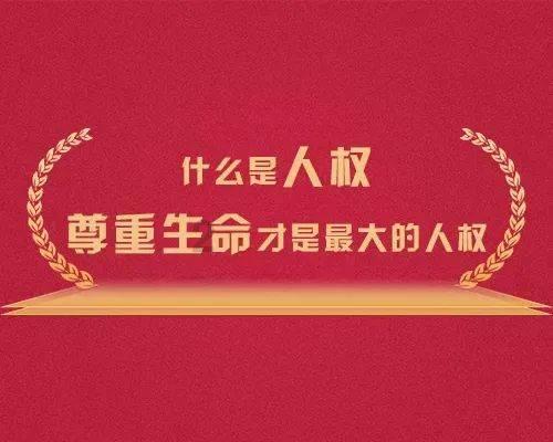 彼得比尔特379拼图