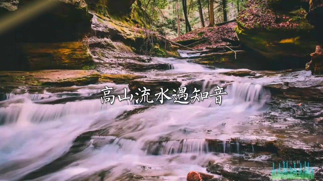 植物营养液怎么做游戏画面